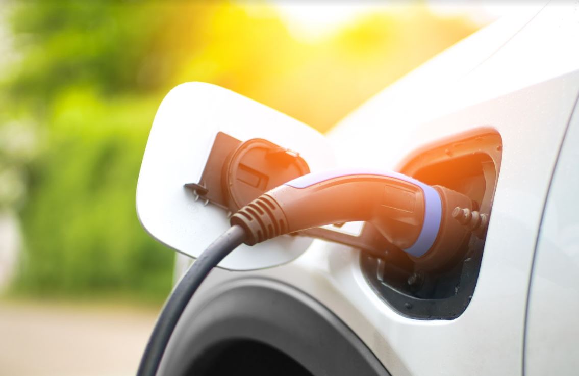 Want to drive an electric vehicle? Here’s how…