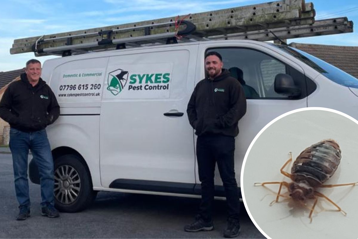 City pest controller inundated with calls about bedbugs