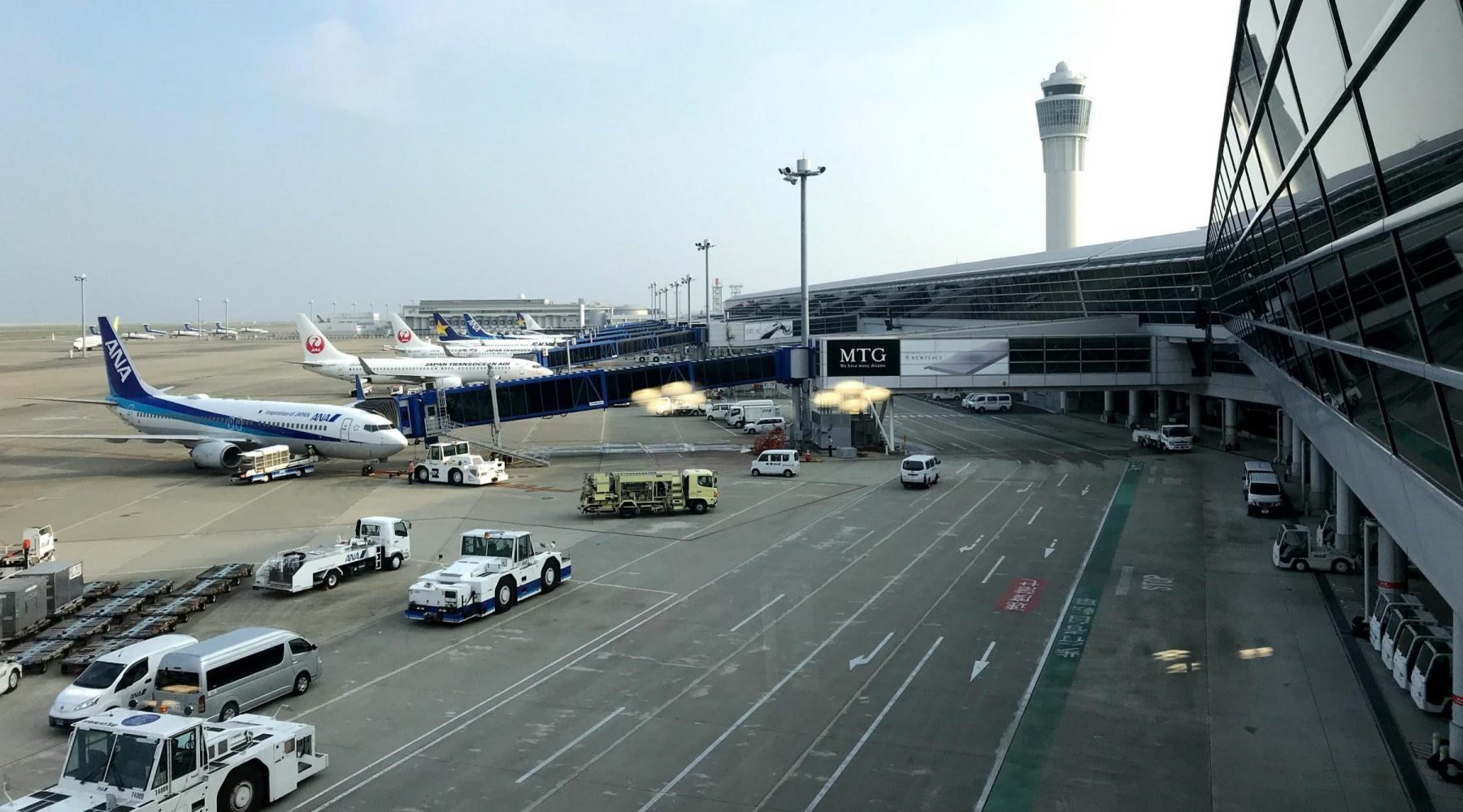 Flights cancelled and staff made redundant as 8&hellip;