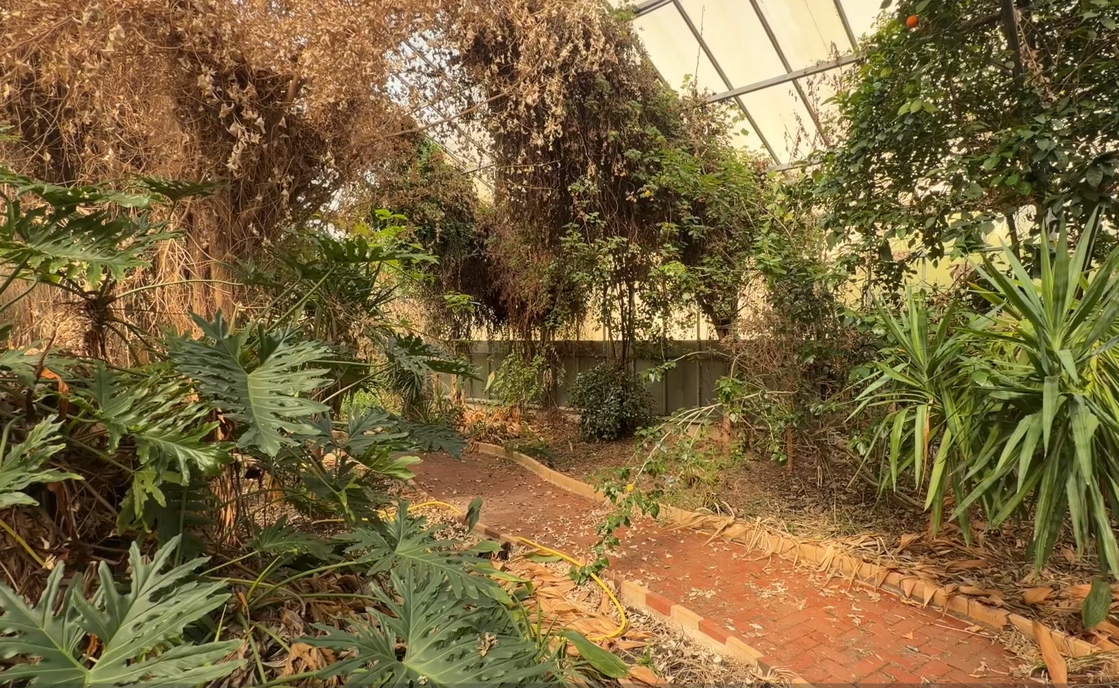 Work underway to create jungle experience inside old&hellip;