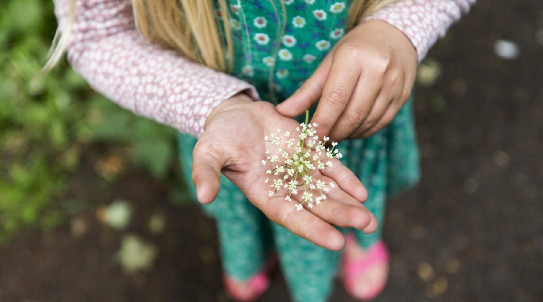 Families across Bradford invited to new bee-based trail&hellip;