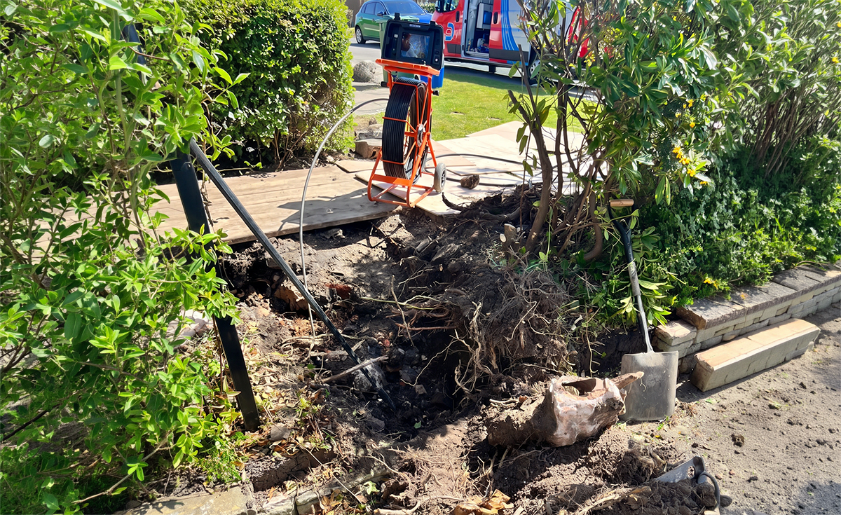 Tree roots could be causing blocked drains, Bradford…