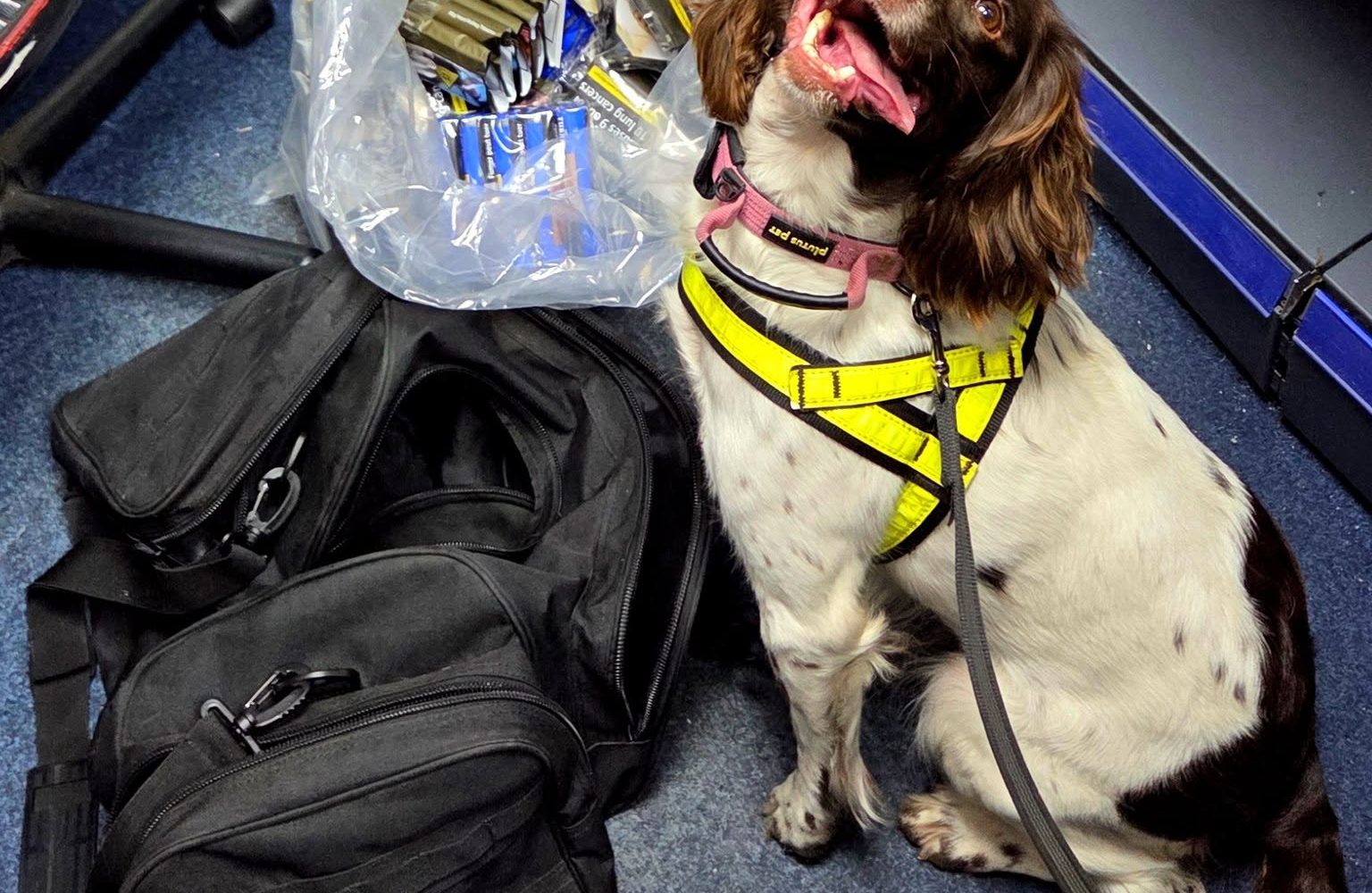 £18,000 of illegal goods seized after 7 businesses…