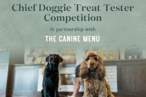 Pub chain launches search for four-legged treat tester